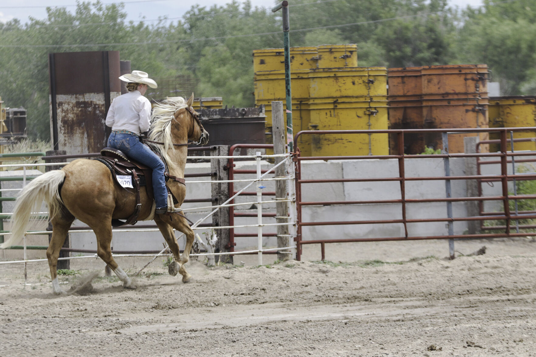 PHOTOS: 4-H Horse Show 2020
